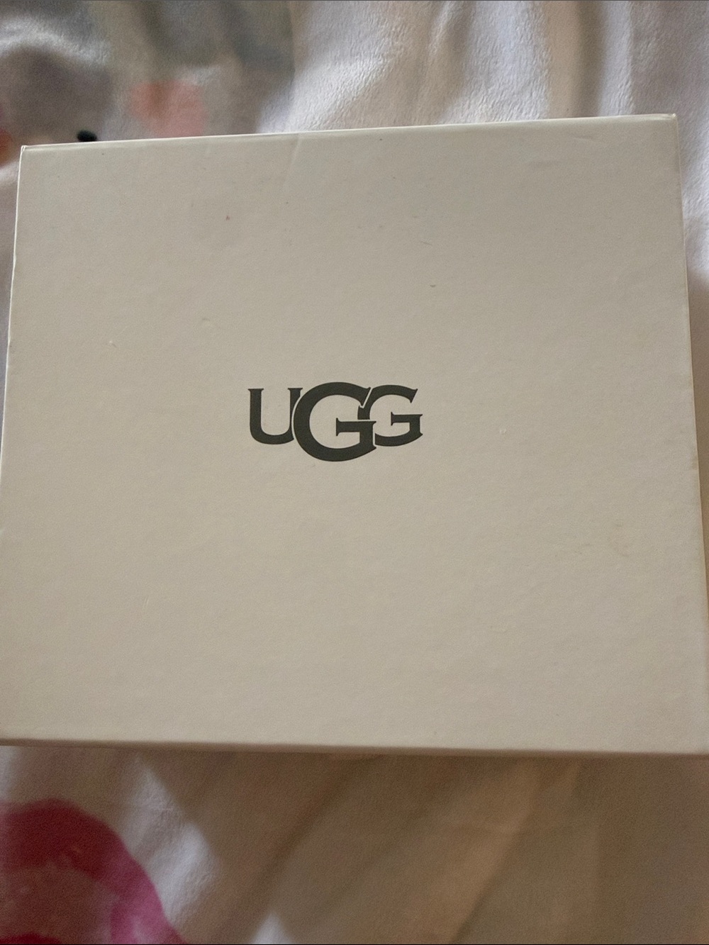 UGG CLEANER KIT